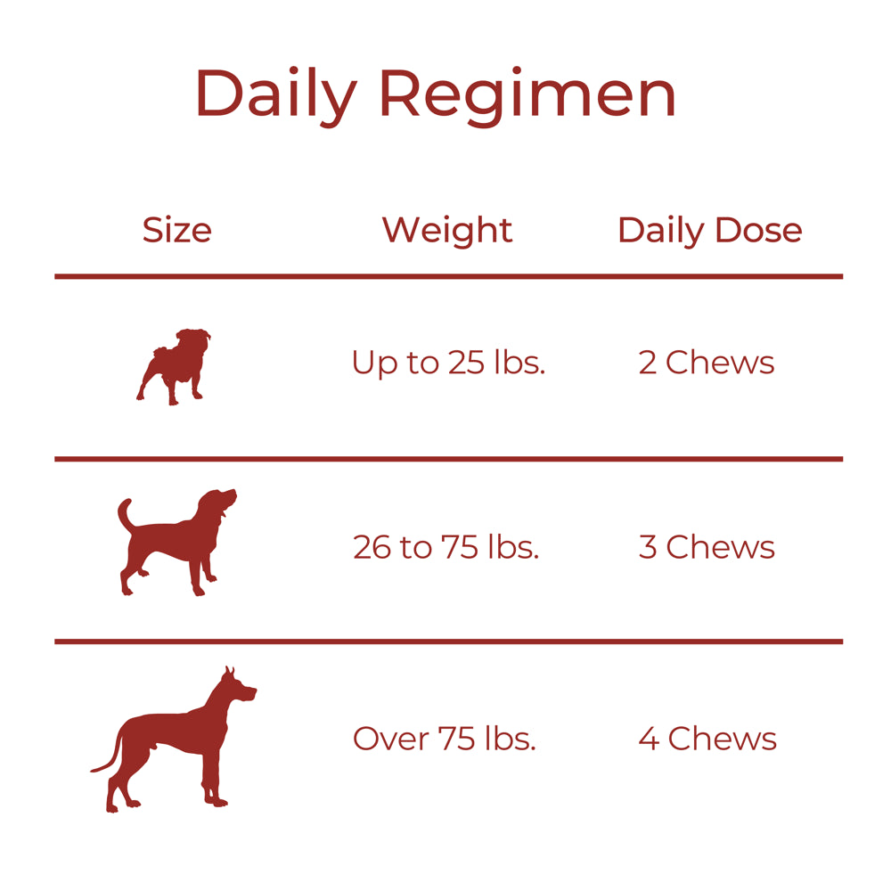 Probiotic, Functional Dog Treats, Probiotic & Digestive Supplement, Pumpkin & Ginger Recipe, 10Oz (75 Soft Chews)